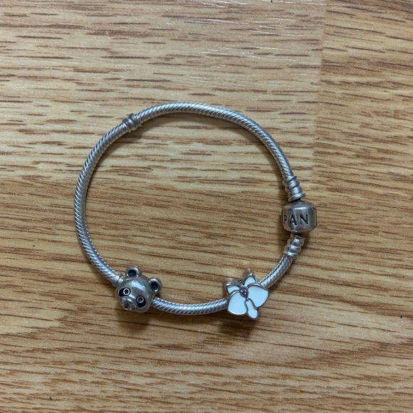 Pandora bracelet - Picture 1 of 1